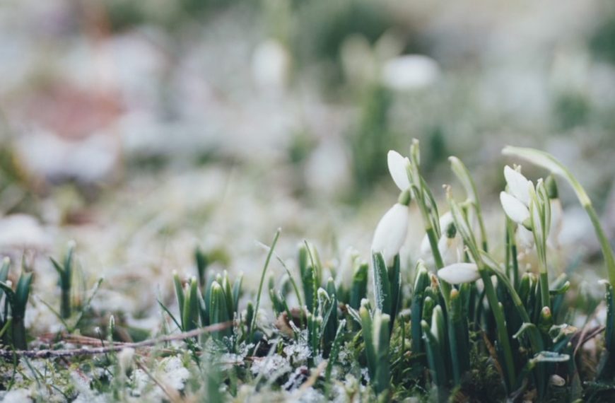 PÅ GÅNG VÅREN 2026